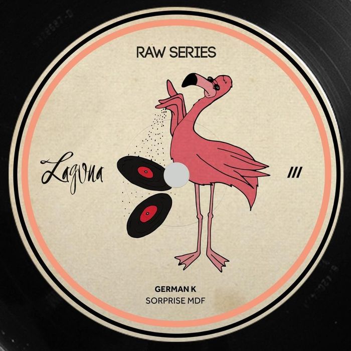 Mr. Flamingo discotecando